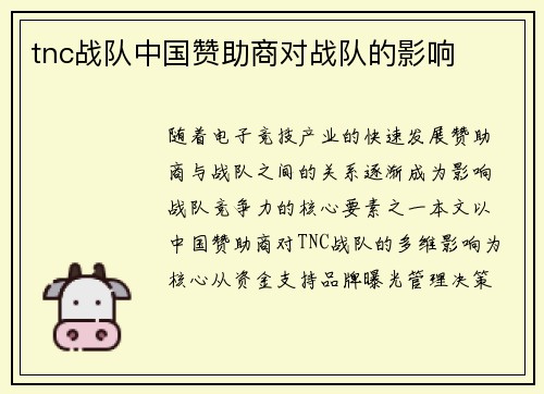 tnc战队中国赞助商对战队的影响