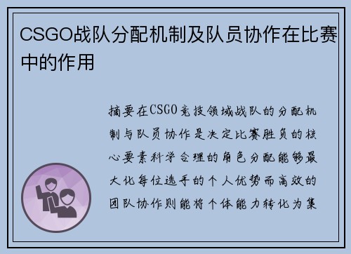 CSGO战队分配机制及队员协作在比赛中的作用
